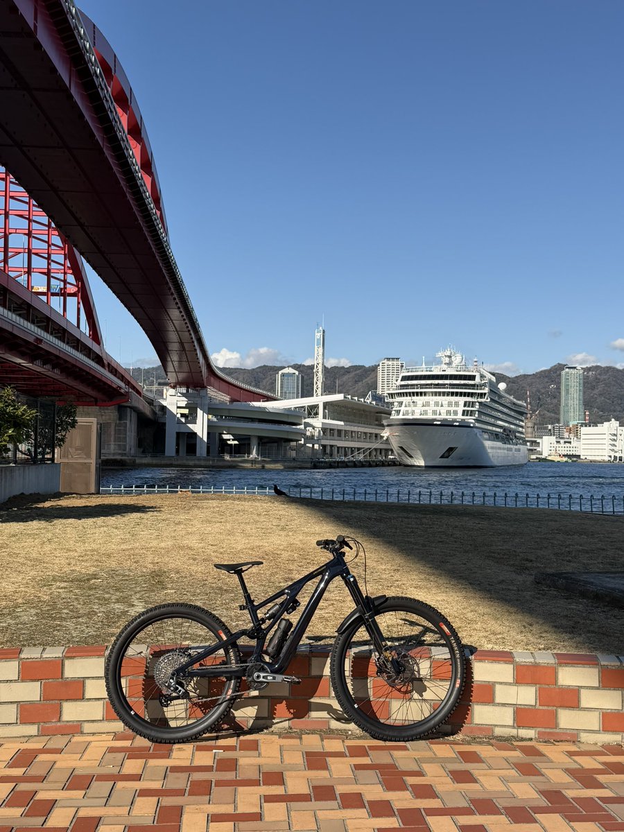 ハミングバードです♡⃛ ADIDAS スニーカー バミューダ BERMUDA ピンク ビーチ (adidas