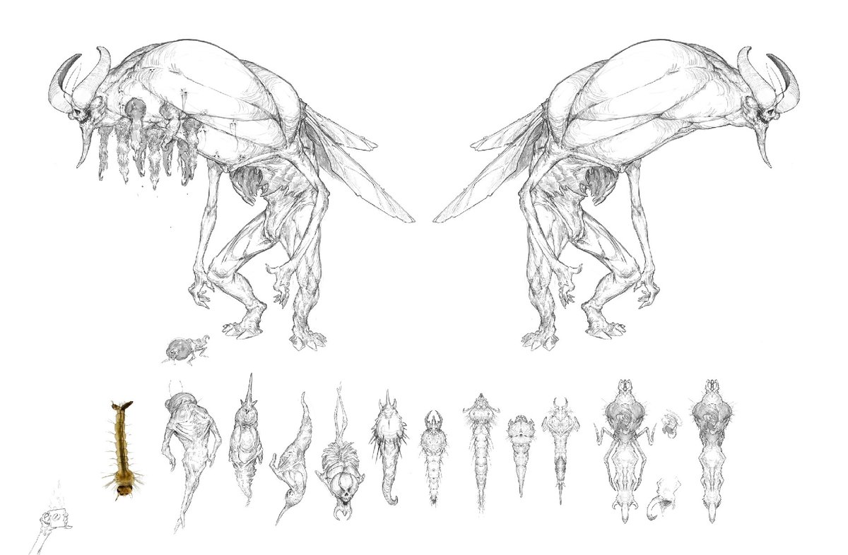 A tanky blood-bulwark variant