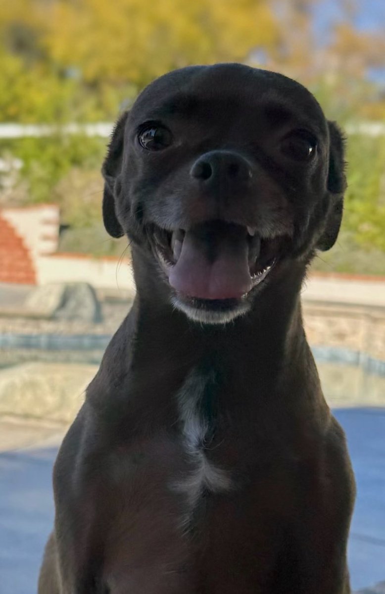 Mintpod611's tweet image. $50 crypto

Rt
Comment emoji

Gl bros