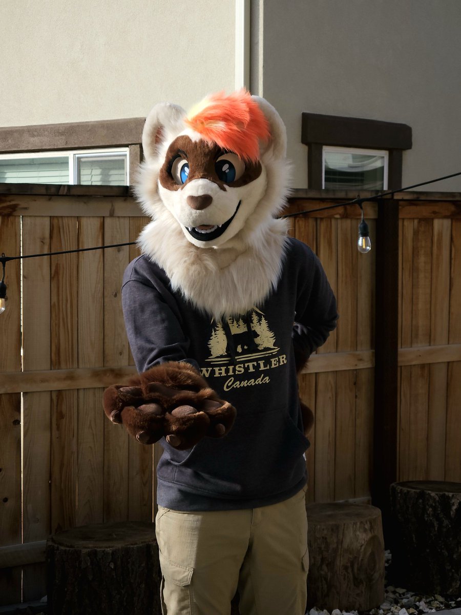 cooldowncoyote's tweet photo. Latest fursuit is complete! Careful, he bites 😇
#furry #fursuitmaker #FursuitFriday https://t.co/0BBBhn6qhm