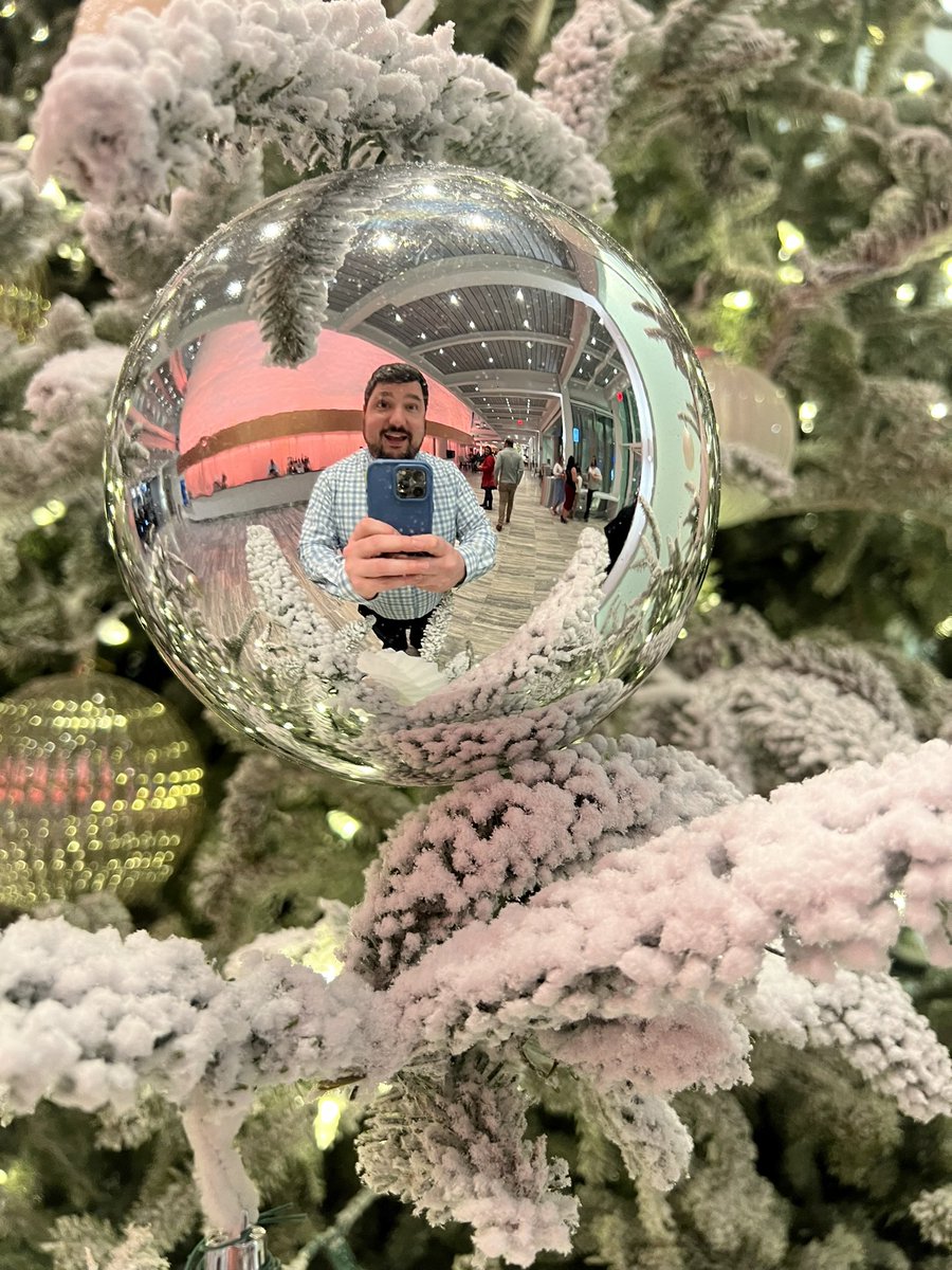 Saw The Nutcracker at the Dr. Phillips Center. That is a wild show!