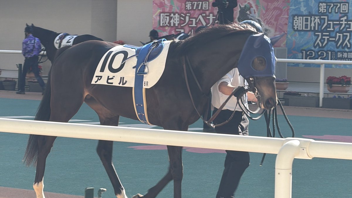 アビルな皆様へ🐎