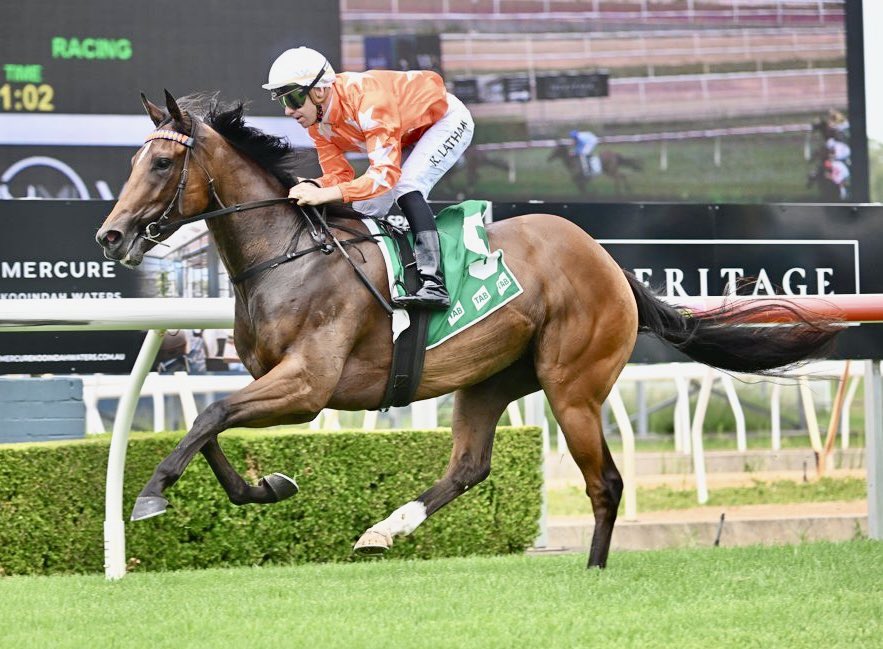 kimwaugh6's tweet image. Brightburn with her ears pricked, breaks her maiden easily at just her 2nd race start @WyongRaceClub today with @keaganlatham aboard for Mark Alati of Marquee Stud 👏👏👏 #stilllearninghertrade #welldoneteam 🏇🏇👌🏻👌🏻