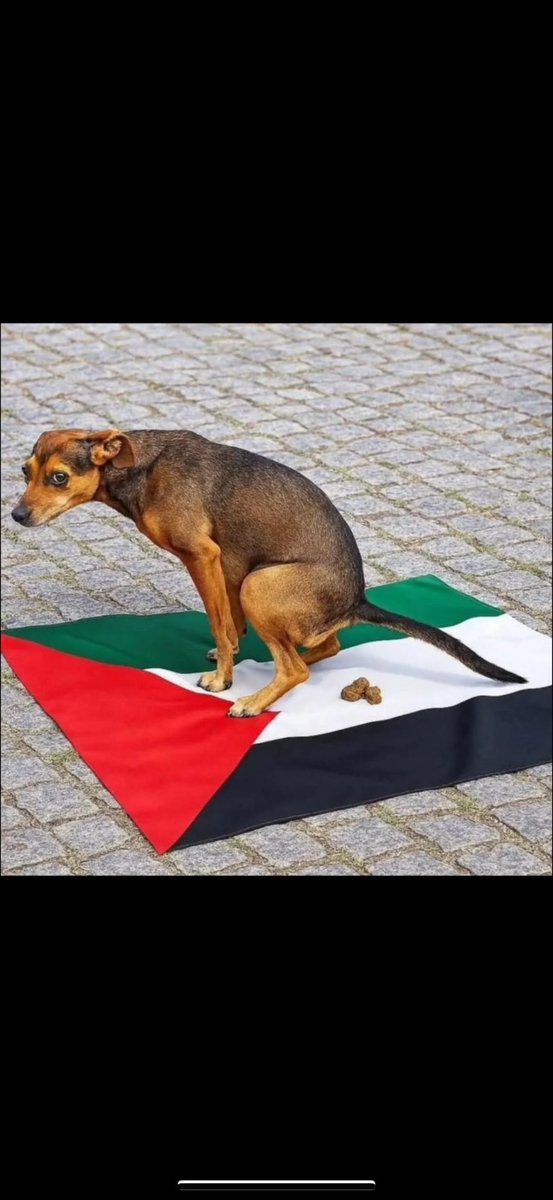 Jason Hamilton tweet media