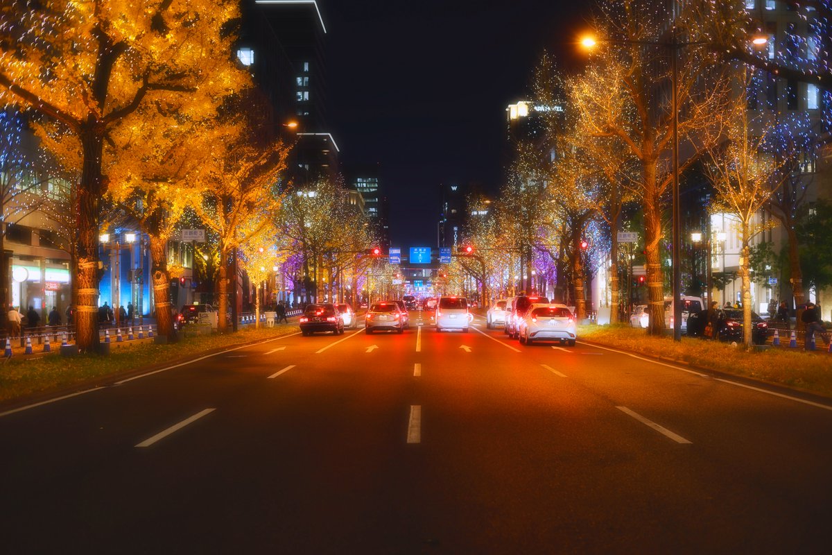 大阪・光の饗宴2025🎄2025.12.19
RF45mm F1.2 STM