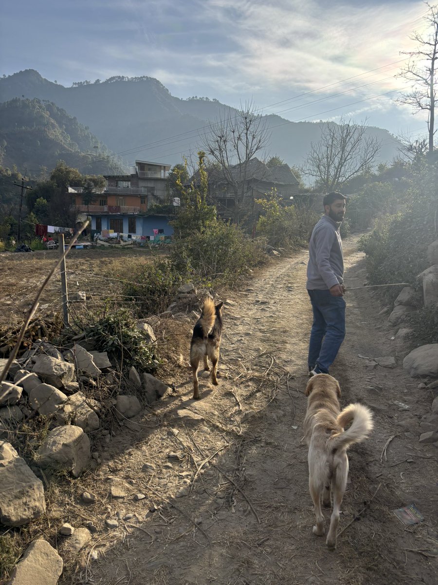 Paul Thompson tweet media