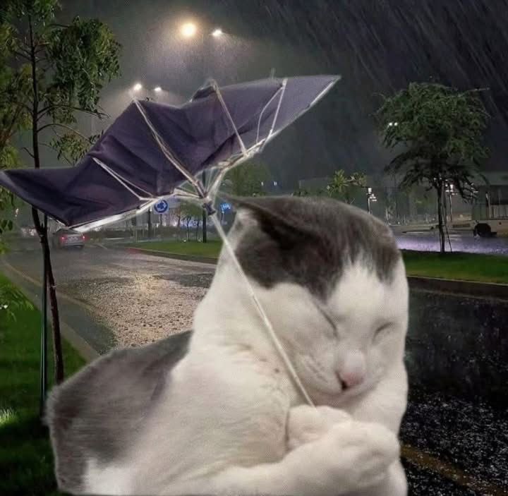 ꧁꧂ (@eat5g) on Twitter photo 