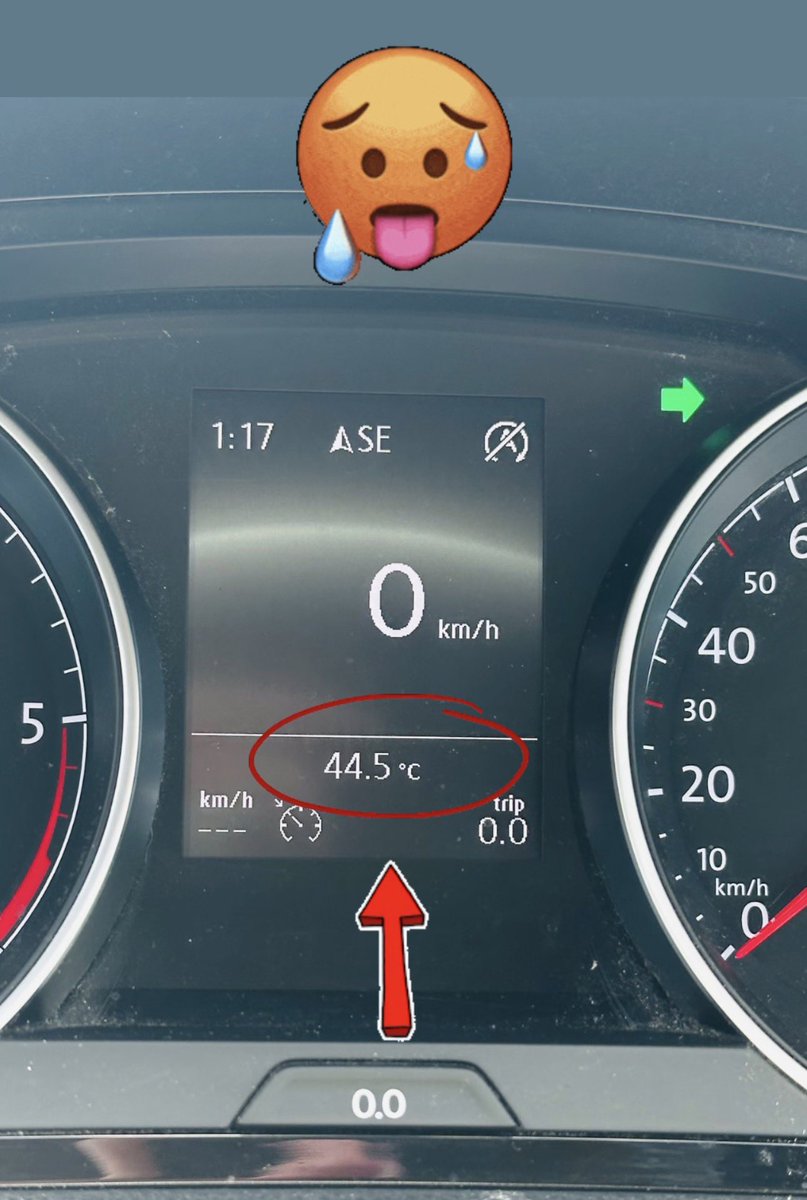 Literally melting 🥵 

#Australia #summer