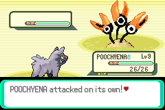 Tankmin🐀 tweet media