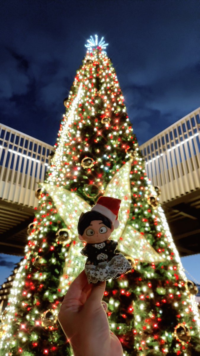 Post by まろ🦊 on X: 🎄🧚