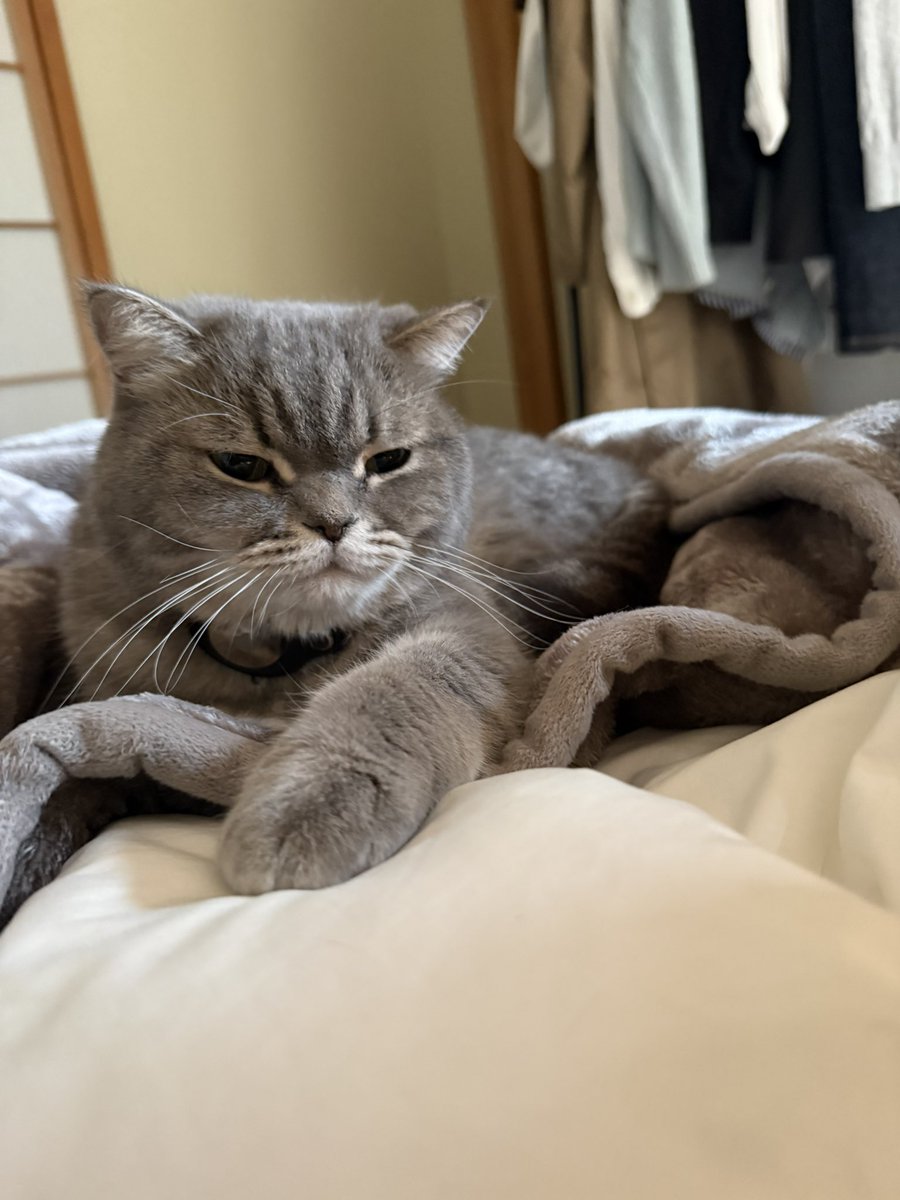 いわし先生 (@IWASHI_0723) / Posts / X