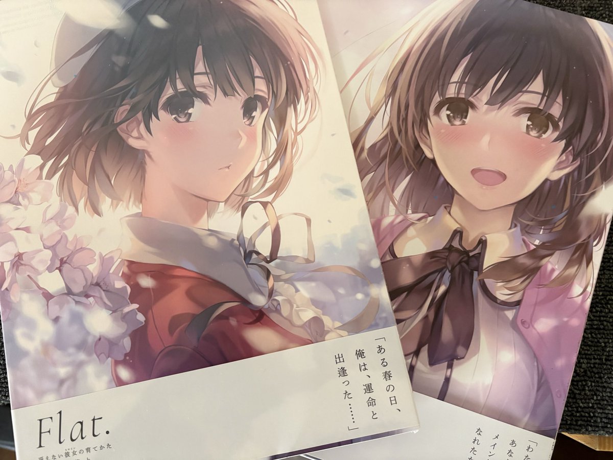 深崎暮人先生の冴えない彼女の育てかた画集上下巻買いました