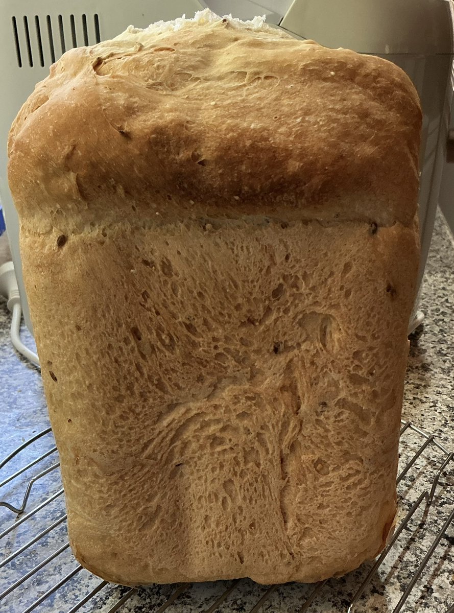 tweeter_vee's tweet image. Weekend loaf #bread #multigrain #HomeCooking 
@xskinn