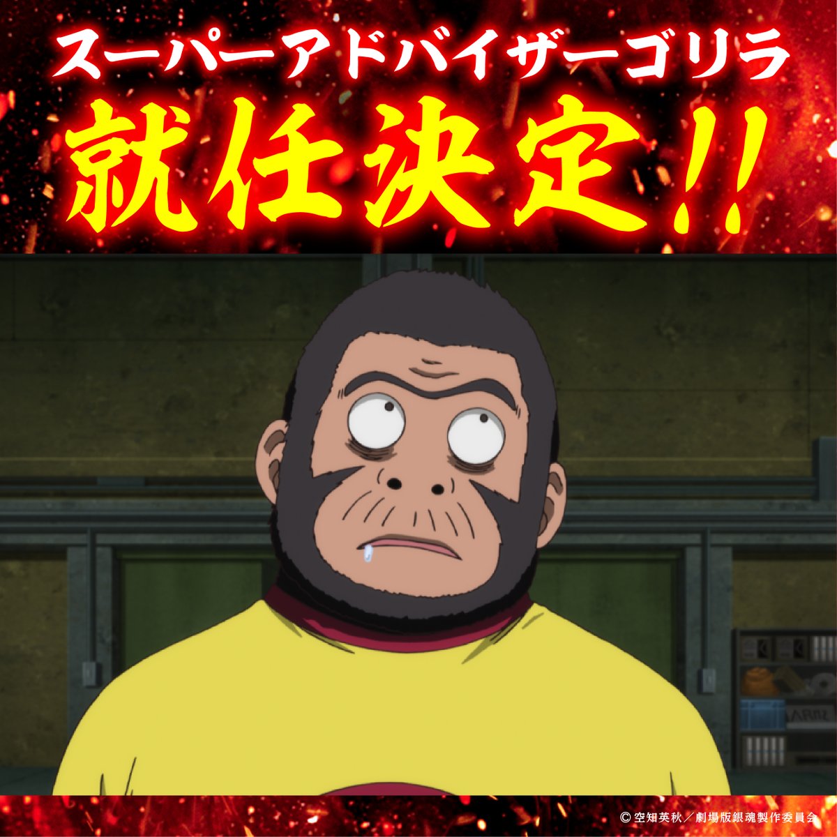 ＼\🔥スーパーアドバイザーゴリラ決定🔥/／

“スーパーアドバイザーゴリラ”に
原作者・空知英秋先生が就任決定🦍💥

「新」エピソードも加わった
吉原炎上篇の超・完全版!!
これぞ“吉原完全補完計画”だァァ🔥

『#新劇場版銀魂 -吉原大炎上-』
2026年2月13日(金)公開