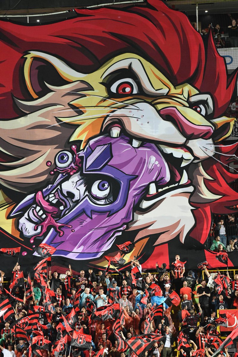 EnfermoXLDA's tweet image. 90 minutos más 

VAMOS LEÓN, DE SEGURO VAS A SER CAMPEÓN 🦁❤️