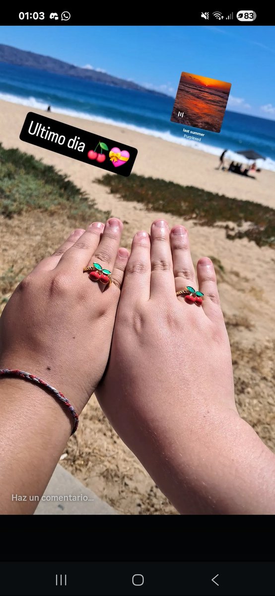 💙🐧 Pinwi 🐧💙 #Silly🐈 tweet media