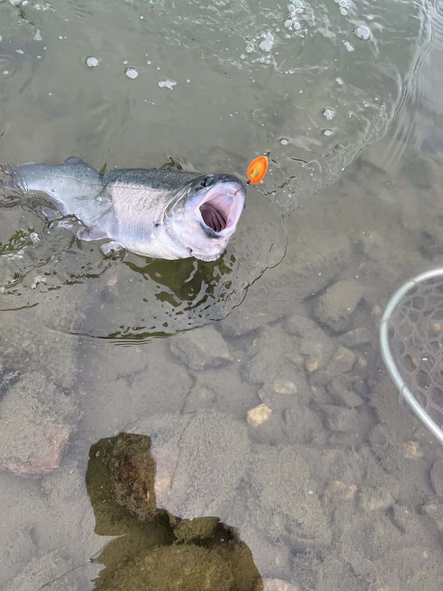 よったん (@yottanntann) / Posts / X