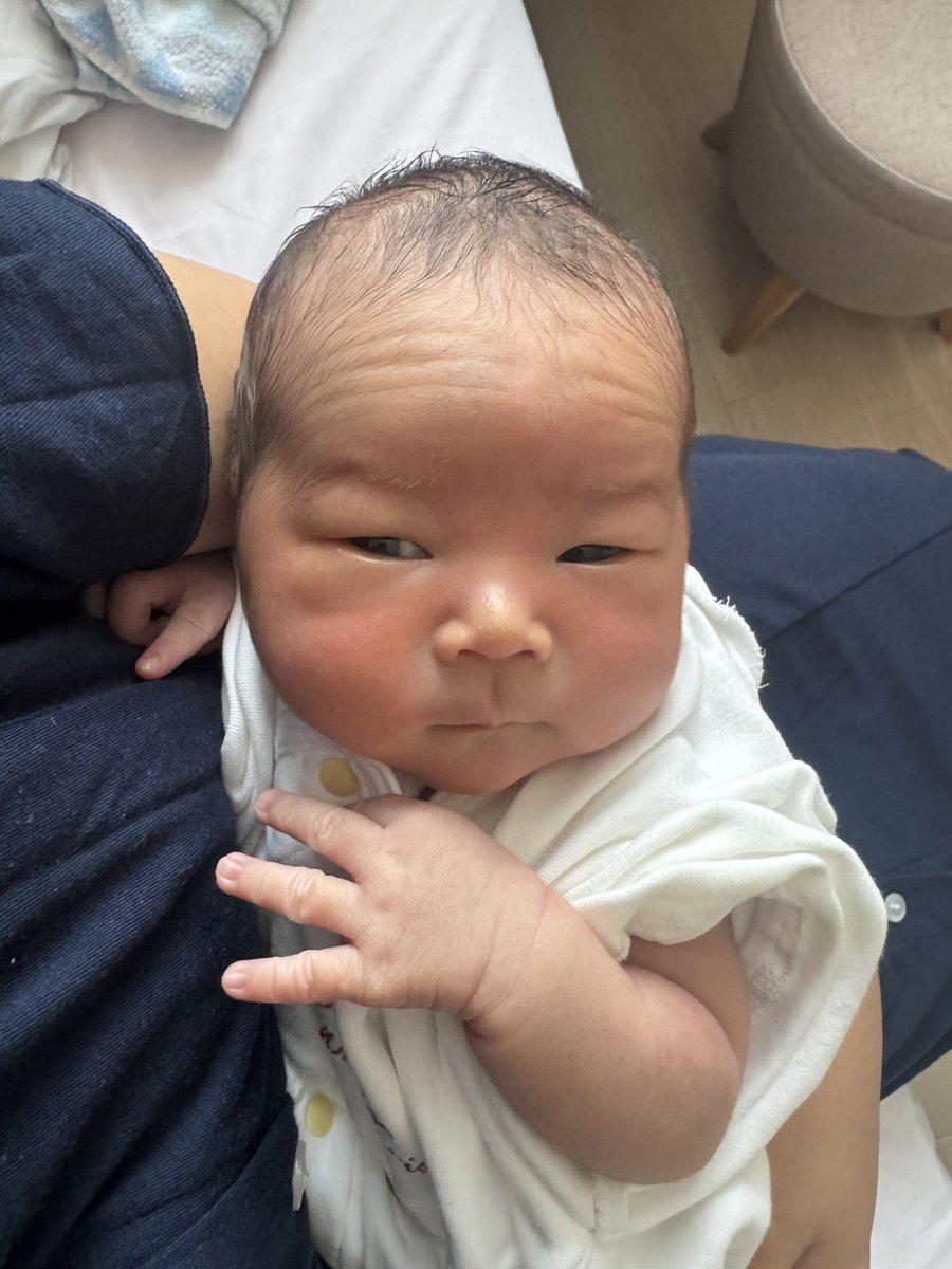 娘と息子の父 (@kirino0808) / Posts / X