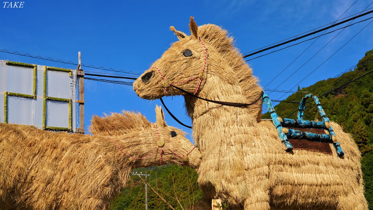 【送料込】旅人の木13節　房多　⑥ 人生の楽園 いつか暮らしたい移住地 2015年03月14日発売号 | 雑誌/定期