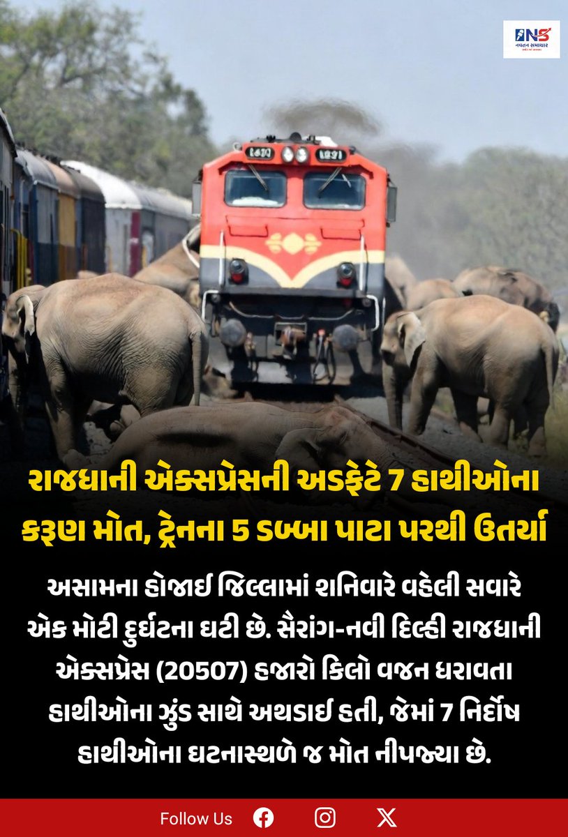 Navtansamachar's tweet photo. "ટ્રેનના પાટા કે વન્યજીવો માટે મોતની જાળ? 🛤️🐘
અસામમાં 7 હાથીઓના મોત એ માત્ર અકસ્માત નથી, પણ એક ગંભીર ચેતવણી છે. આપણે રેલવે સુરક્ષા અને પર્યાવરણ સુરક્ષા વચ્ચે સંતુલન જાળવવું જ પડશે.
#Assam #ElephantDeath #IndianRailways #EcoSensitive @RailMinIndia @moefcc https://t.co/iojv7OfpzF
