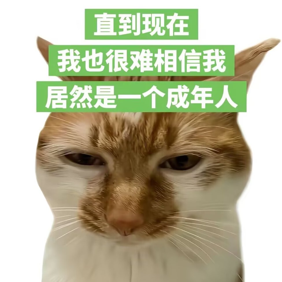 hgds0's tweet photo. https://t.co/hpdMY4Ynau