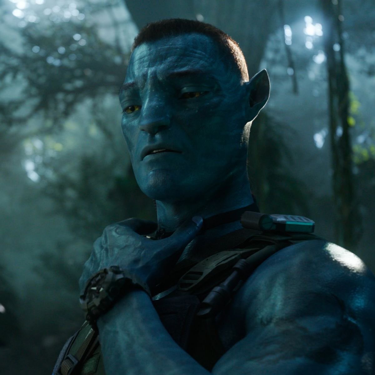 face of a confirmed big mac enjoyer btw