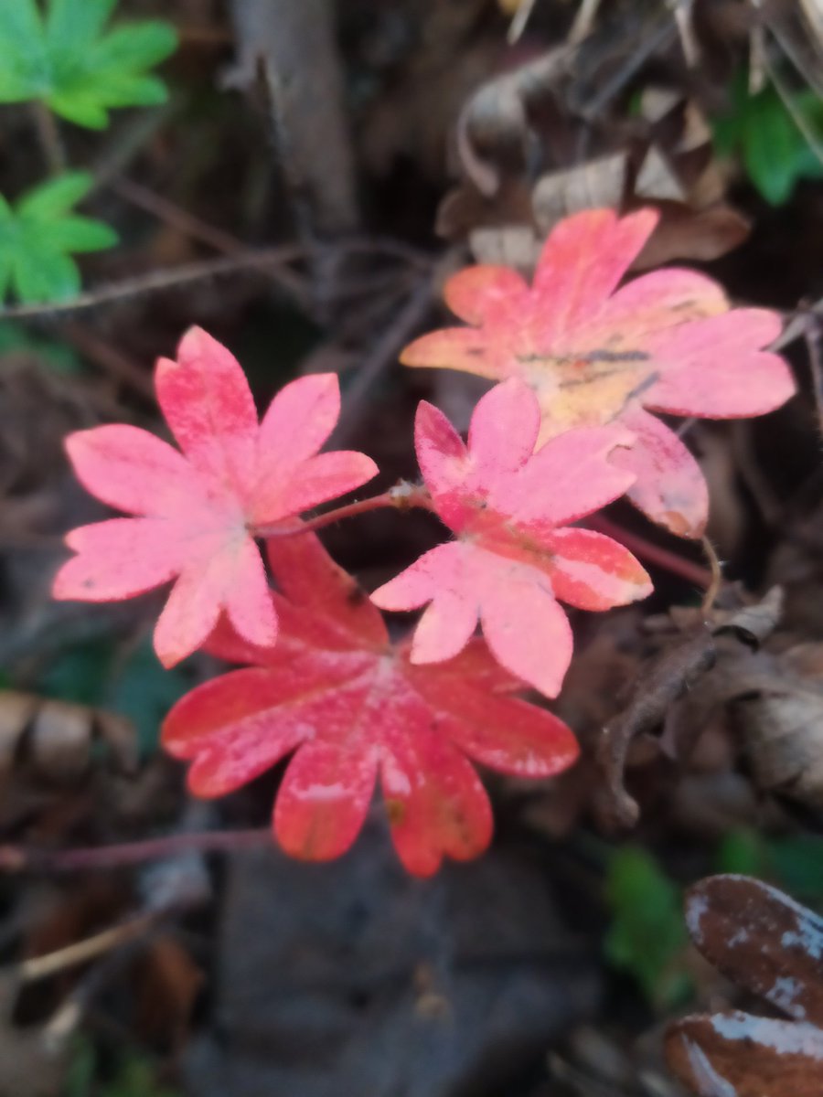 РАНКУ!🙏
МИ з УКраїни!🇺🇦