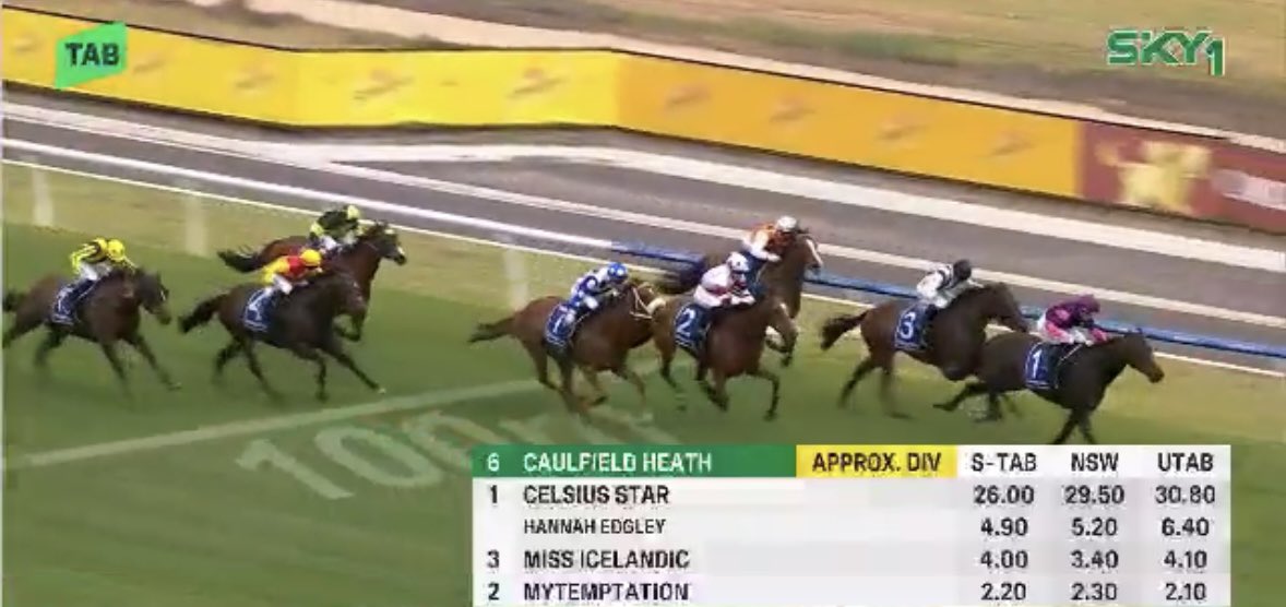 Aussie Punting Battlers tweet media