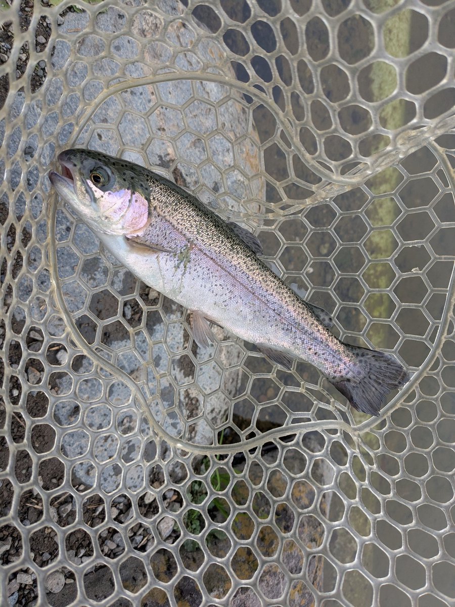 ヘイゾウ＠釣り好きおじさん (@onihey6) / Posts / X