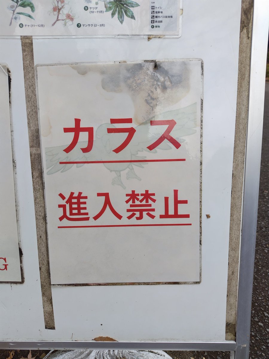 Post by LEO◢⁴⁶ on X: カラスへの挑戦状