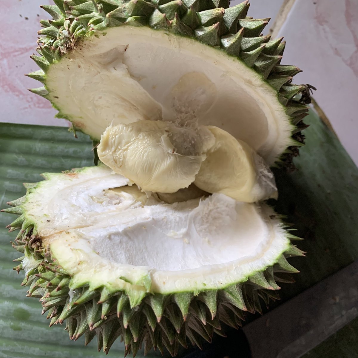 martabaktelerrr's tweet photo. duren holic https://t.co/nsGCKR9no3