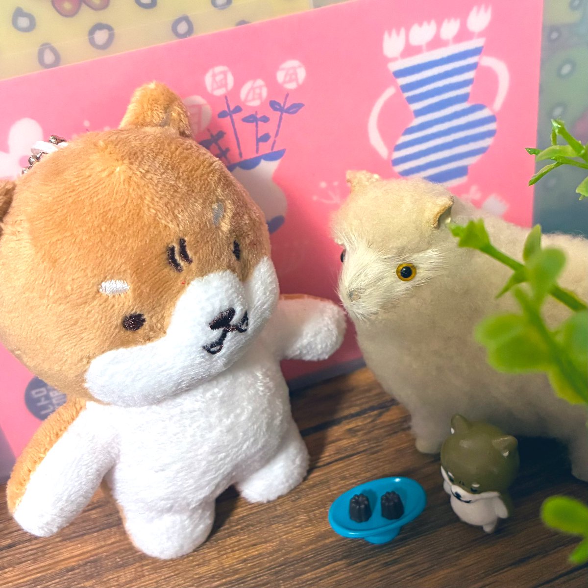 おつりもです🐶 Λ＿Λ (・