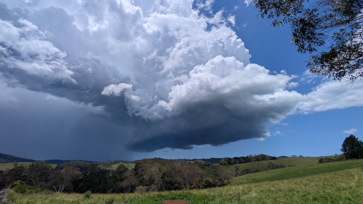RechyWX's tweet photo. Went up to Dorrigo to watch some storms and had a supercell split in front of me. The right cell had quick rotation within the updraft before it became outflow dominant. https://t.co/H5jQdxc2Xt