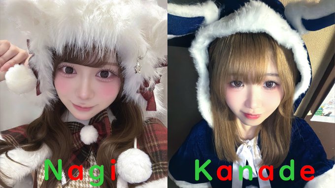 池猫 ~池袋の猫たち~のツイート