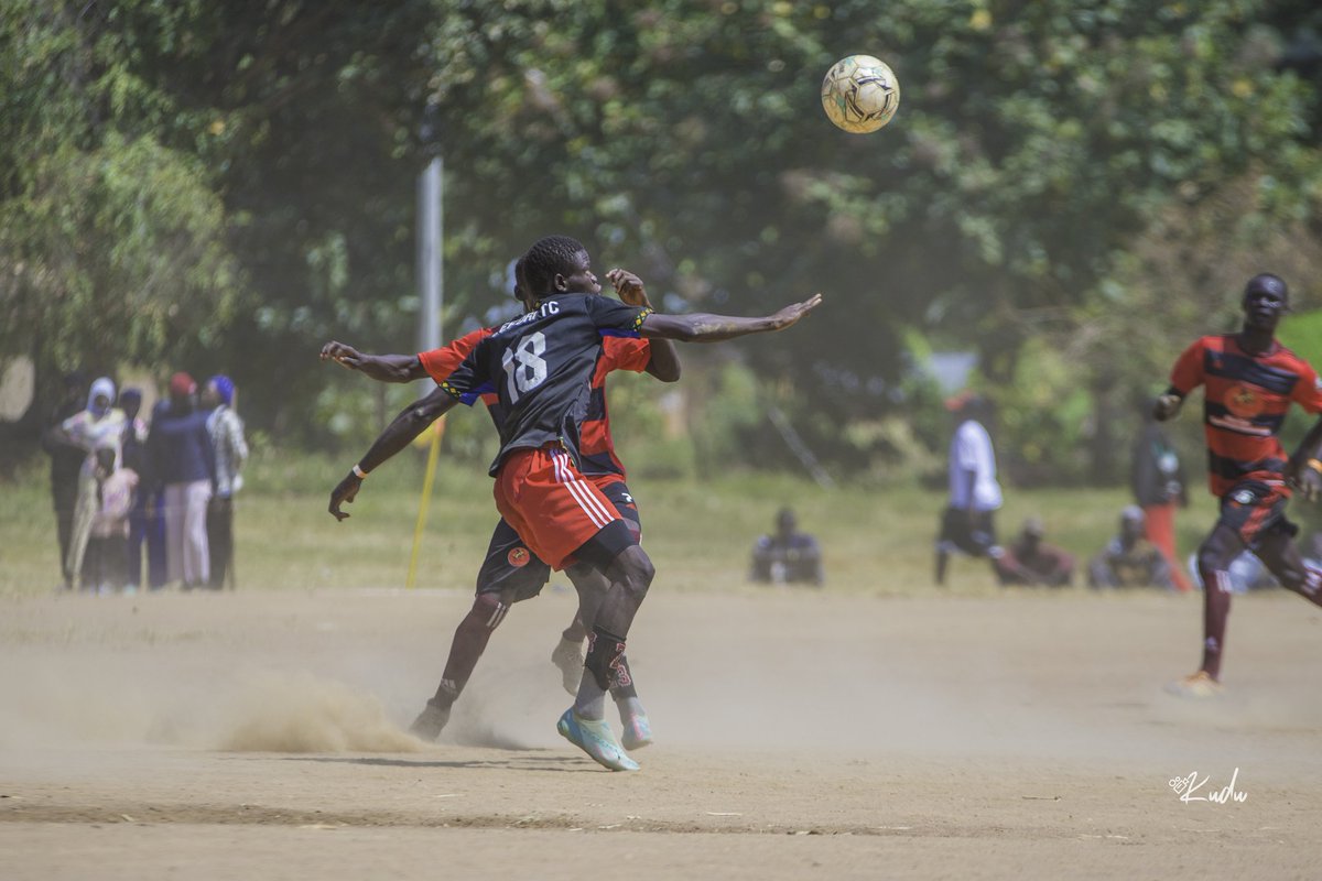 Shea Nut & Natural Oils Conservation Limited tweet media