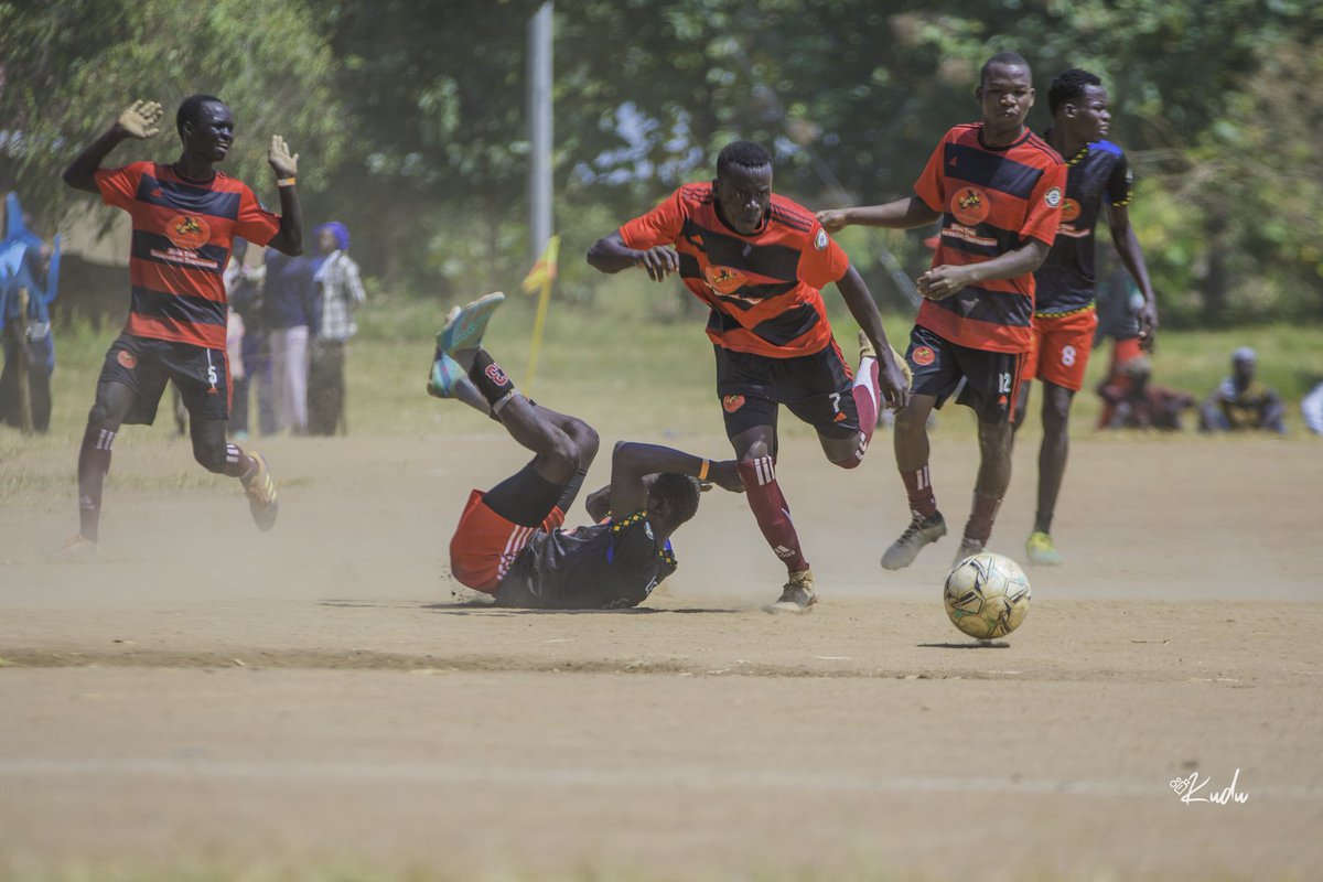 Shea Nut & Natural Oils Conservation Limited tweet media