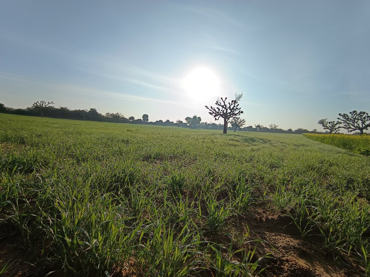 surendrakothar6's tweet photo. #farmHouse https://t.co/aZxzWqeB6p