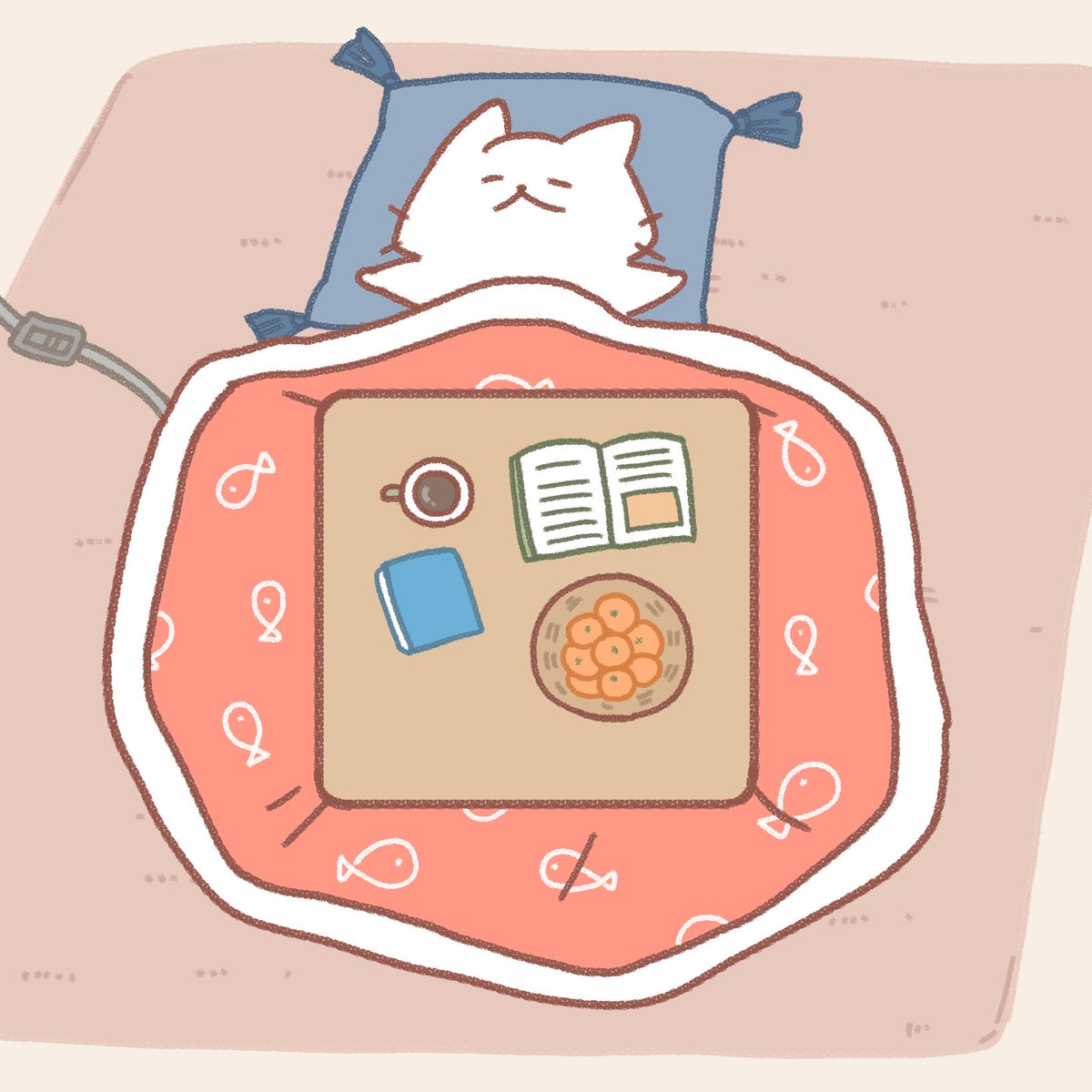 猫原のし🌟 tweet media