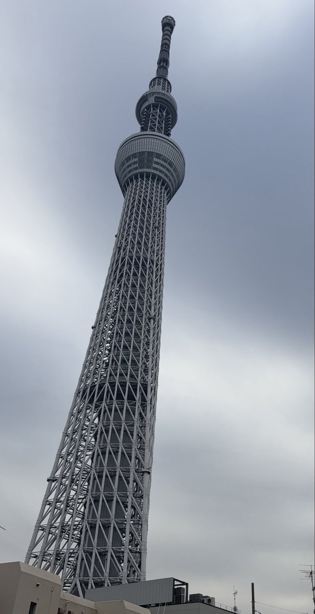 半蔵門線乱れてます
気をつけてー

今日のツリーちゃん