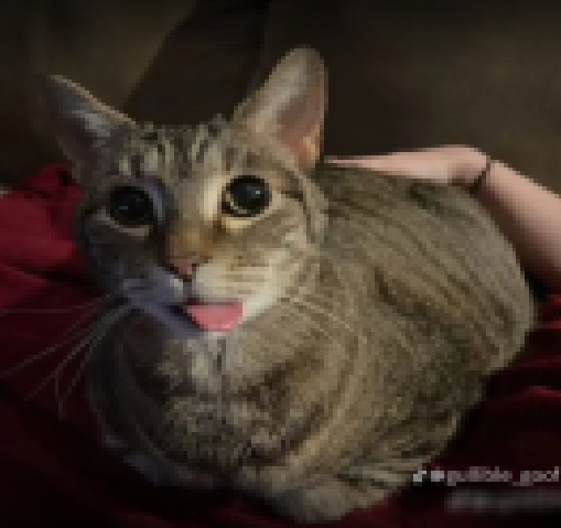 RivCaX_'s tweet image. i love how there is a random silly cat in the loading screen