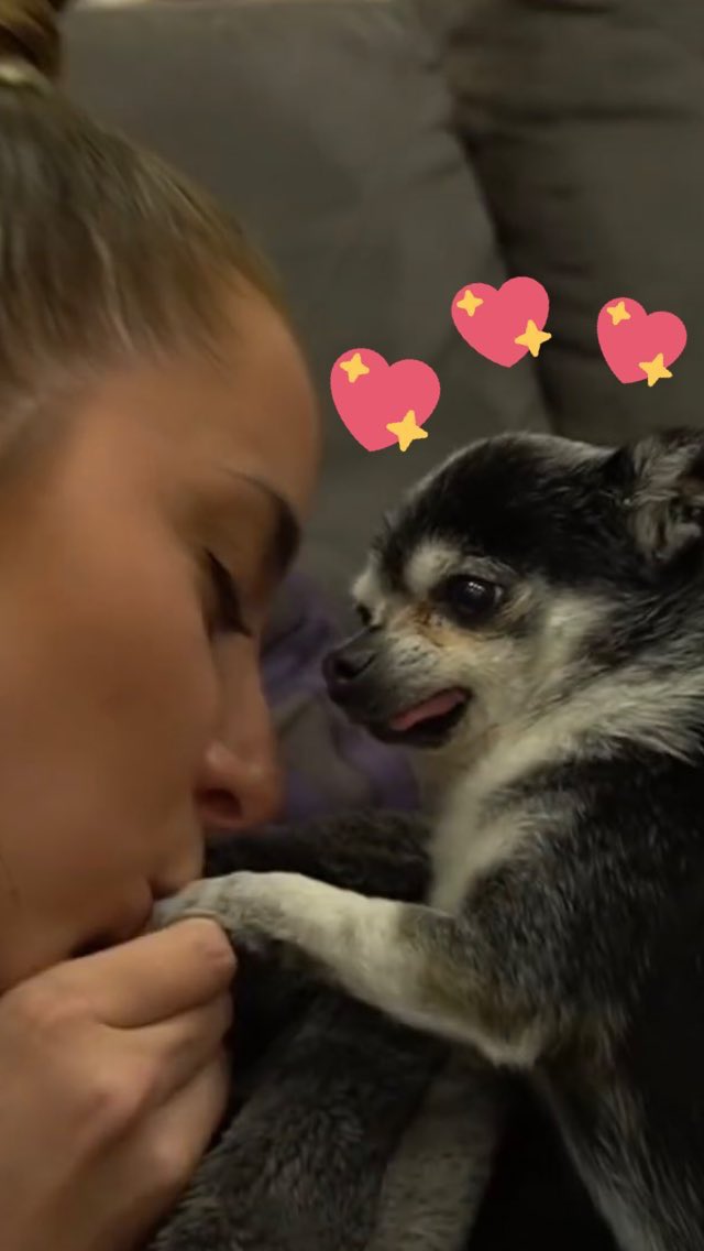 meeble_lover's tweet image. We may not have known you personally, but you touched us all. Thank you Mr Marbles for all the love you’ve shared. Condolences to Jenna, Julien, and the whole pack at this time