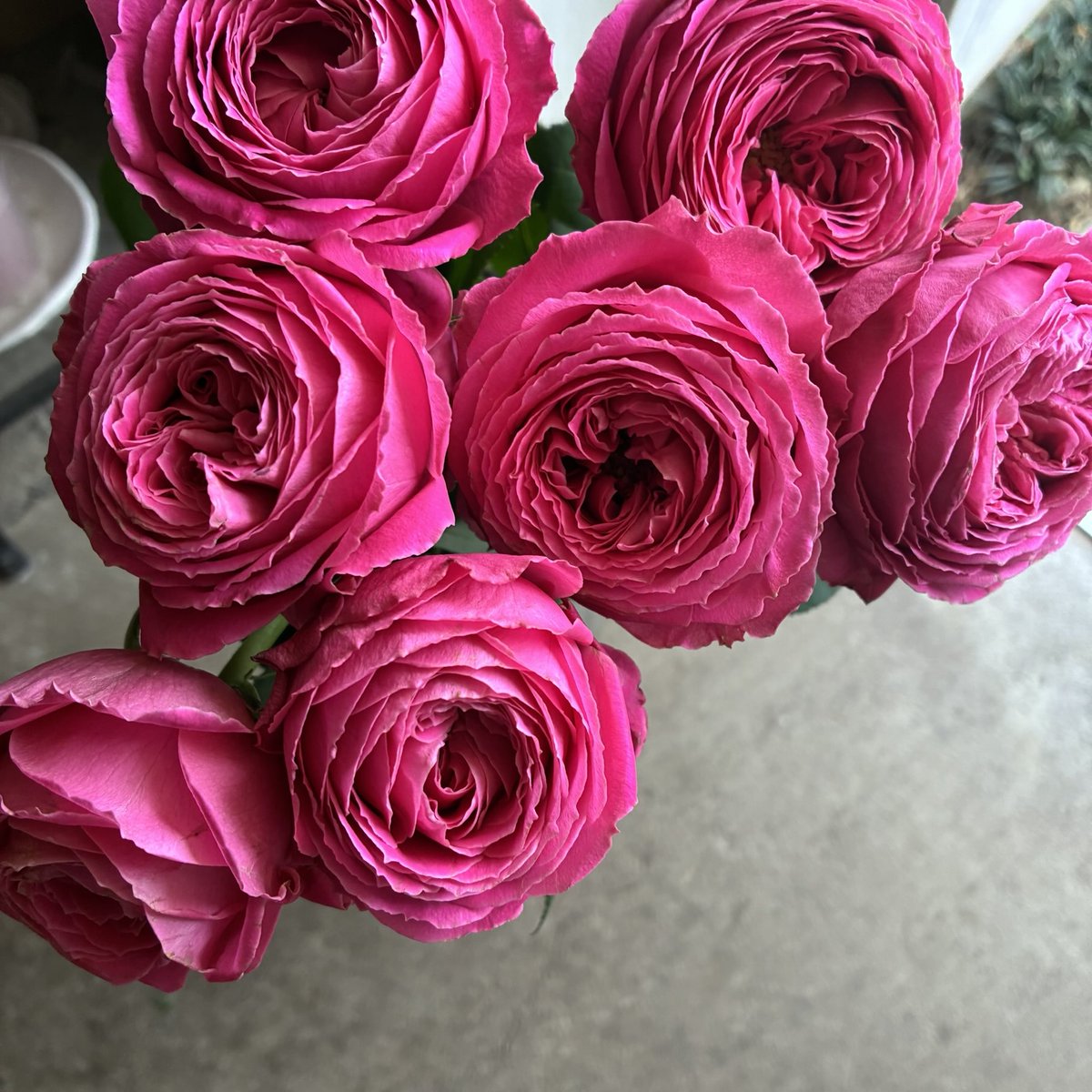 さくらんぼ Sakuranbow (@sakuranbow20) / Posts / X