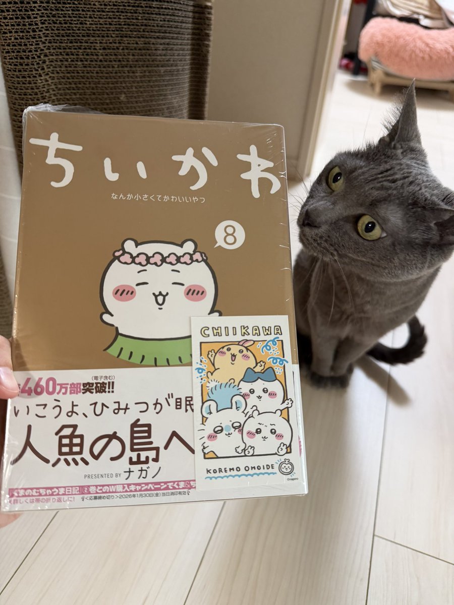 ねこほうママ (@hamaromiko) / Posts / X