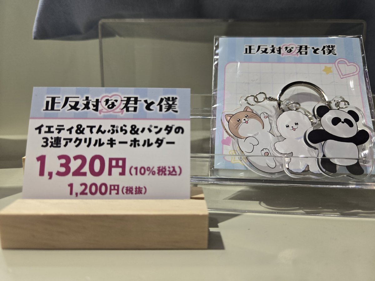 ♡°˖✧━━━━━━━━━━━━ ジャンプフェスタ2026