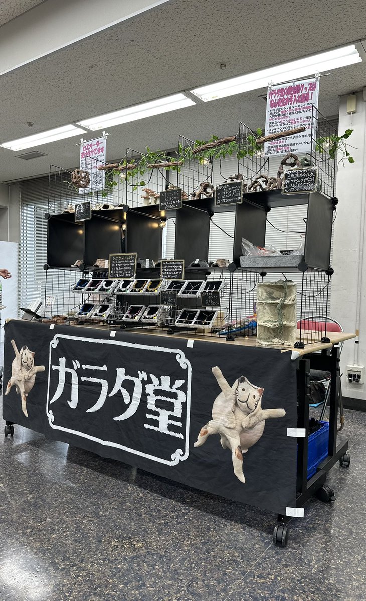 クレスに最適なシェルターがないなら作ってしまおう‼️ クレスの特性を