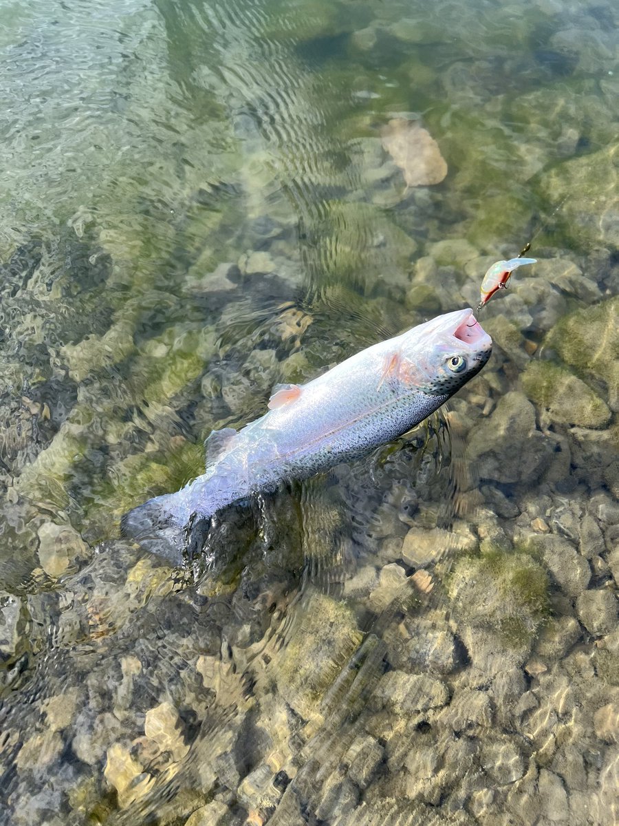 よったん (@yottanntann) / Posts / X