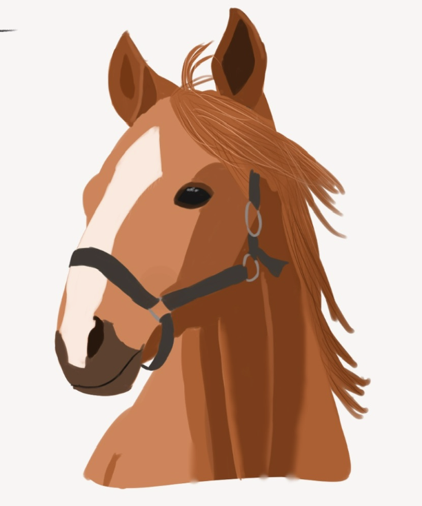 horse coloring that I gave up on