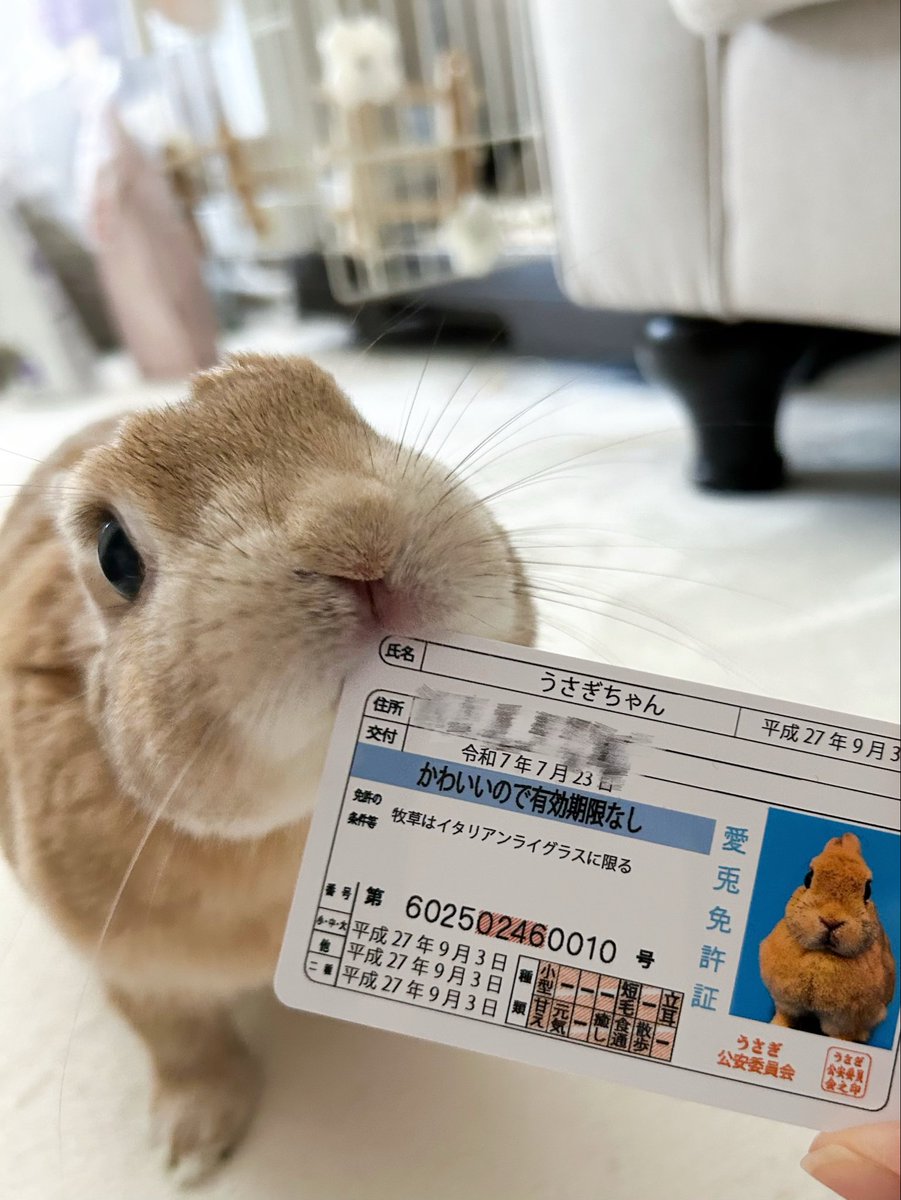 주민등록번호 가 없어