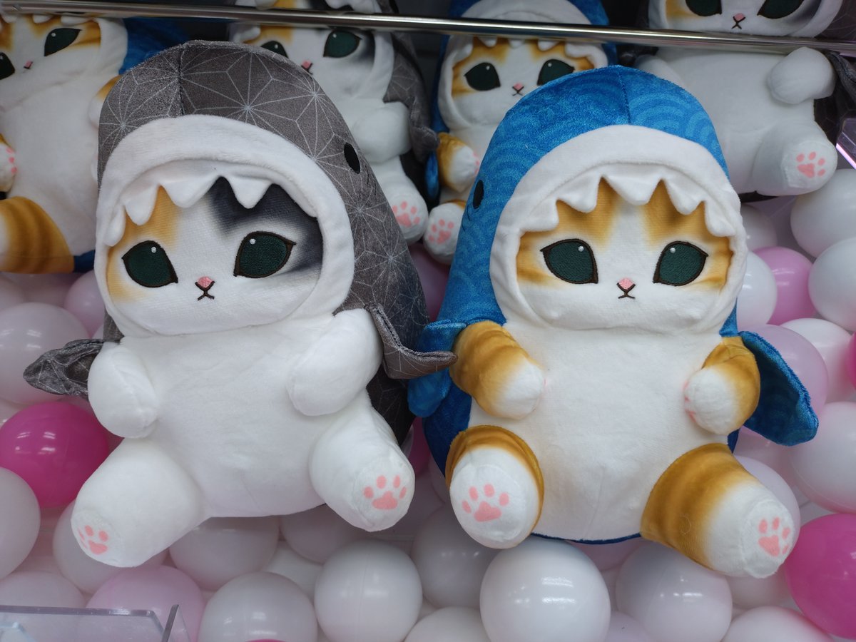 景品情報】 mofusandサメにゃん～和～ BIGぬいぐるみ 全2種 入荷