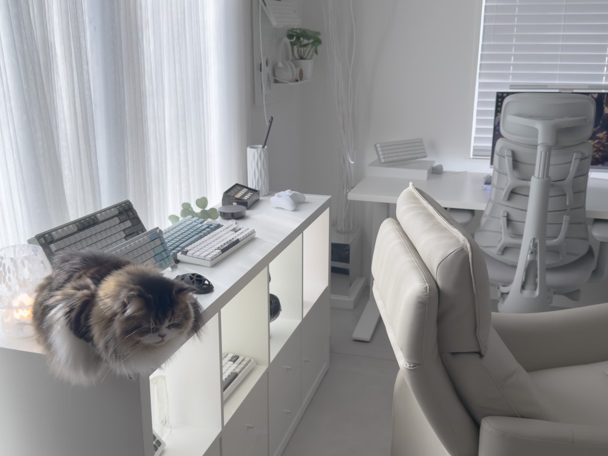 y1010ss's tweet image. 癒しのゲーム＆作業空間🐣☀️

#desksetup